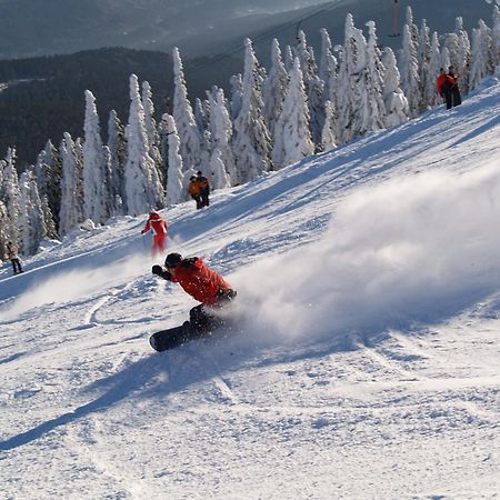 Sonnenhof Resort Bayerischer Wald Lam Eksteriør bilde