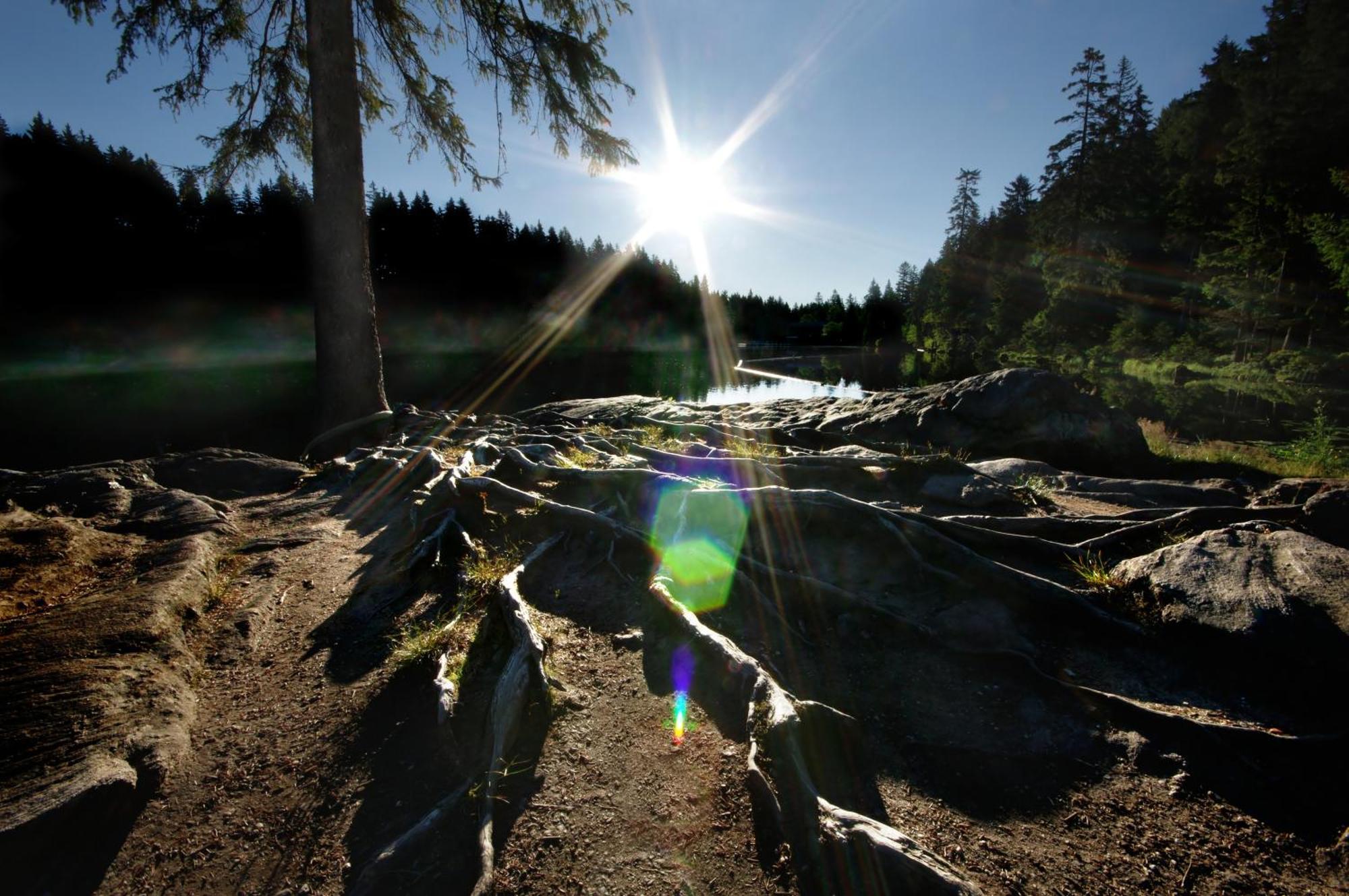 Sonnenhof Resort Bayerischer Wald Lam Eksteriør bilde