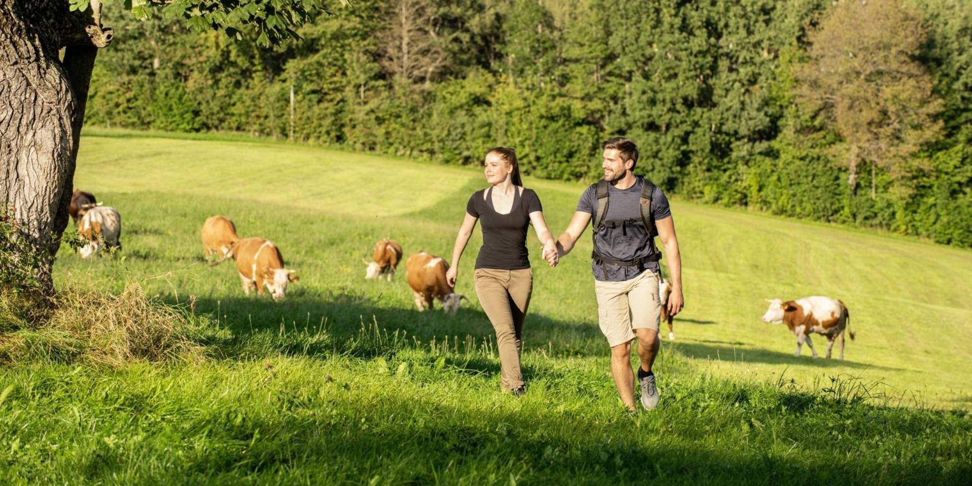 Sonnenhof Resort Bayerischer Wald Lam Eksteriør bilde